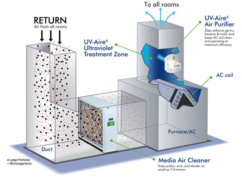 indoor air quality testing companies new york